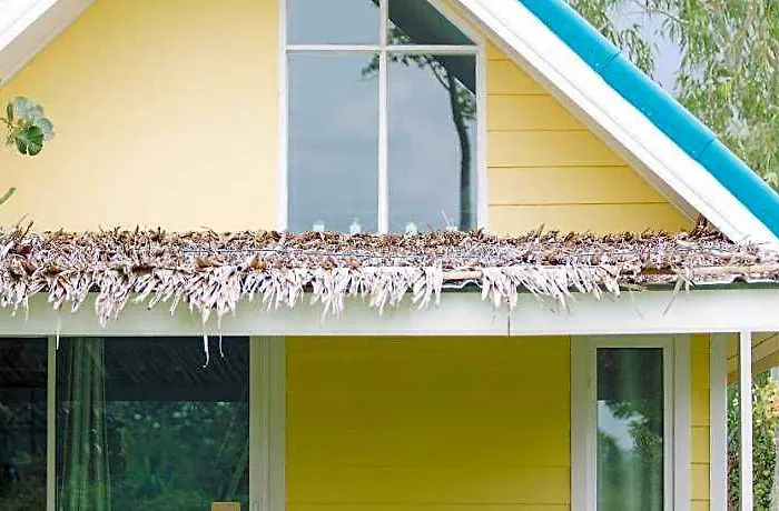 รีสอร์ท Terrua Main Garden